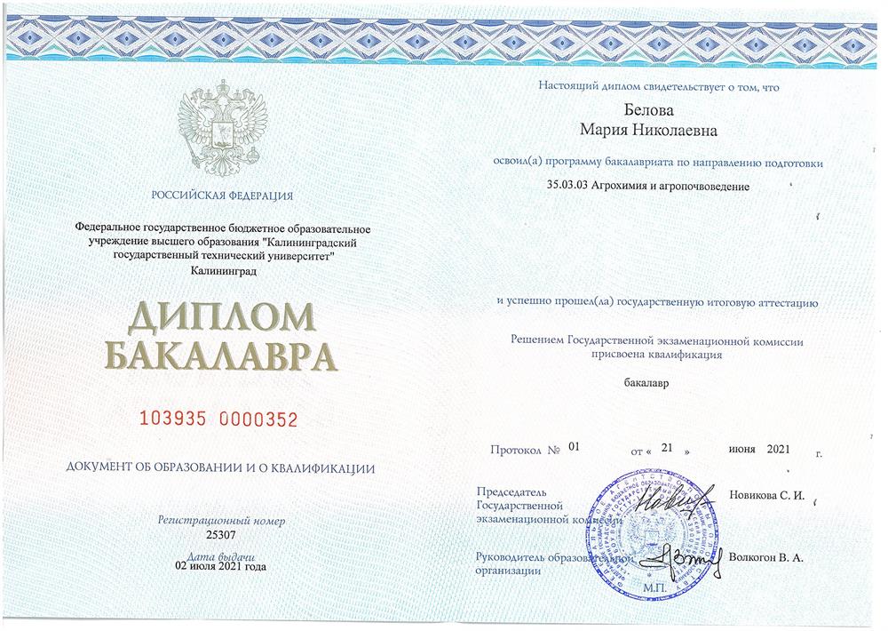 Димплом бакалавра