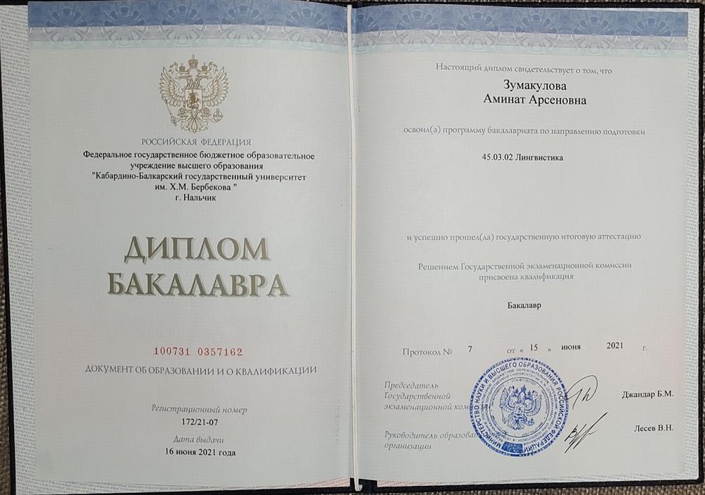 Диплом Бакалавра по направлению Лингвистика