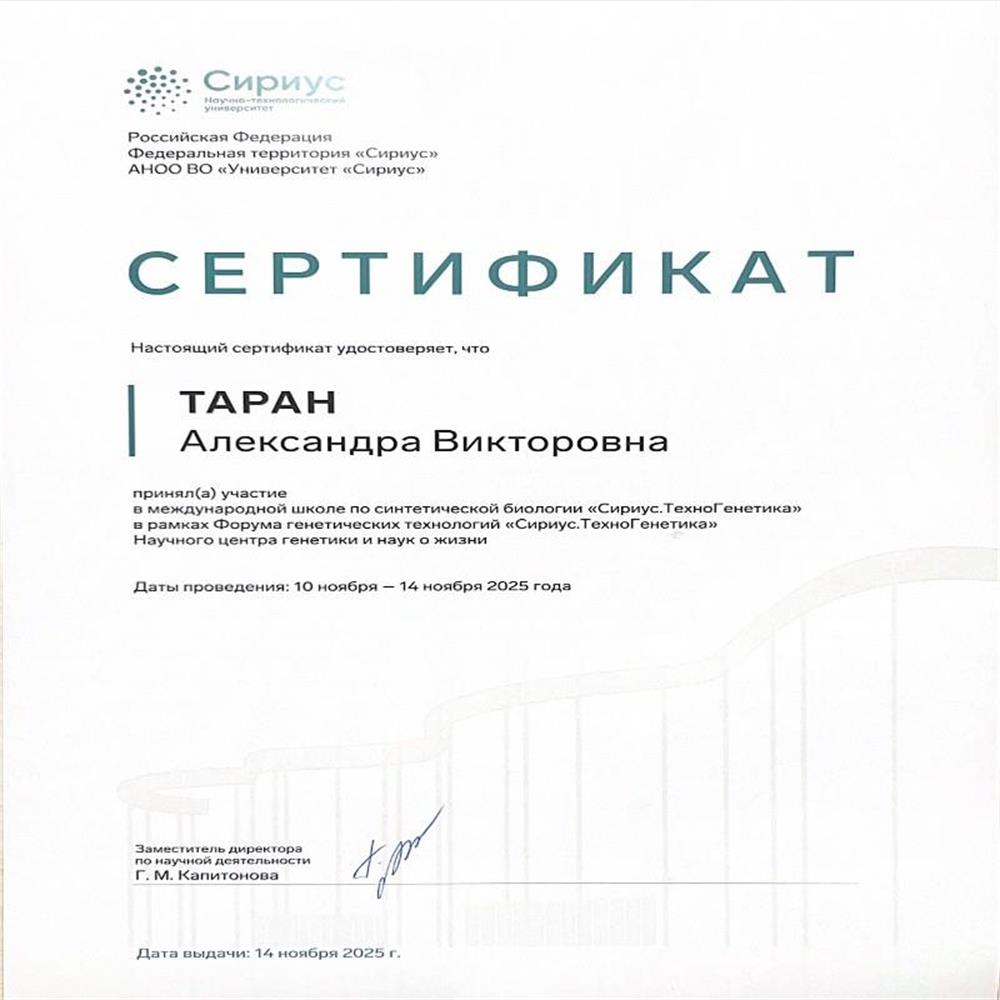 Прохождение научной школы в Сириусе