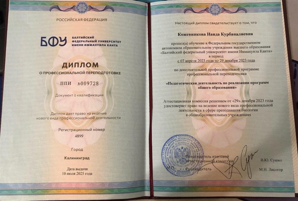 Диплом о профессиональной переподготовке. Педагогическая деятельность по реализации программ среднего звена