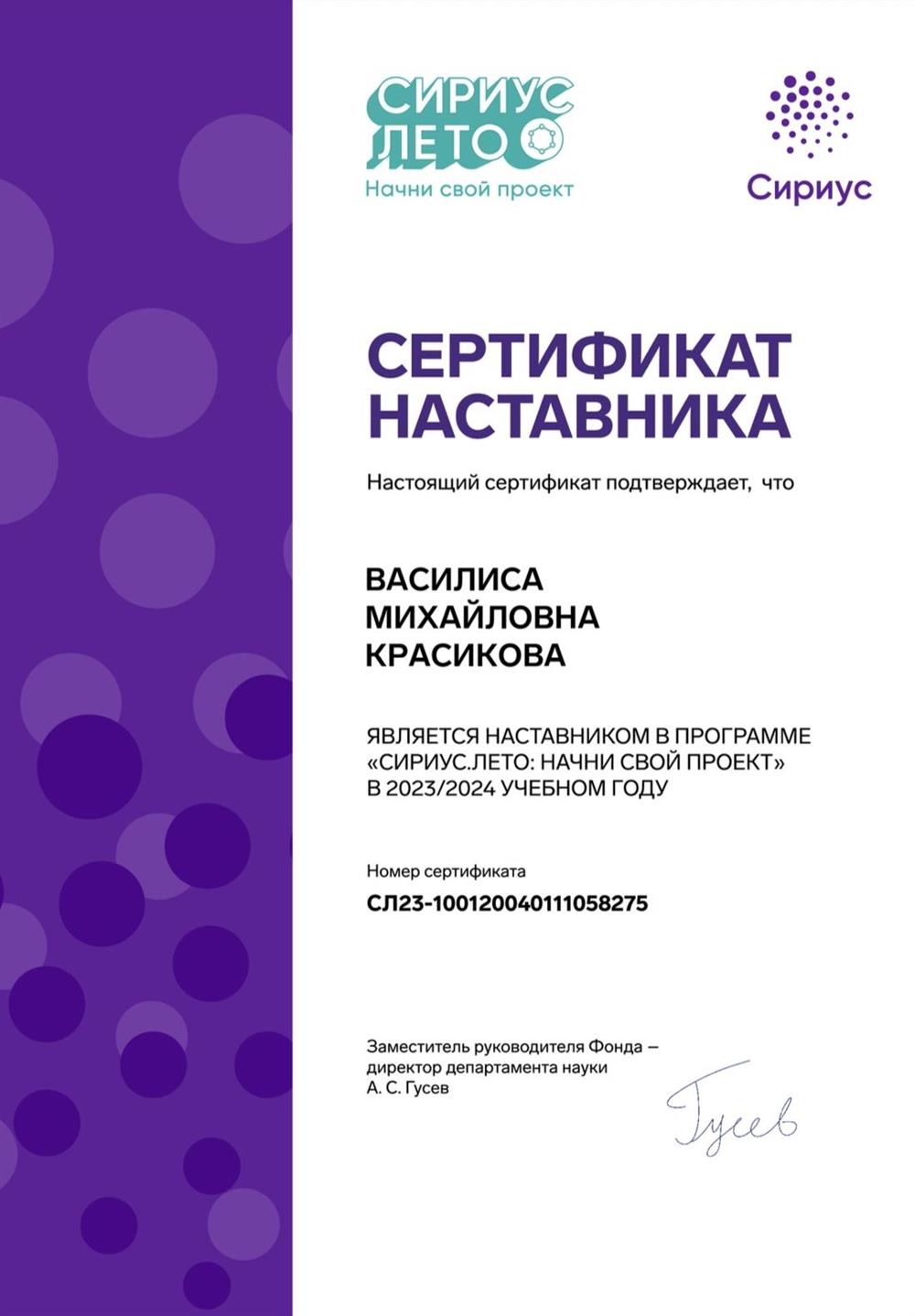 Сертификат. Наставник программы «Сириус.Лето»