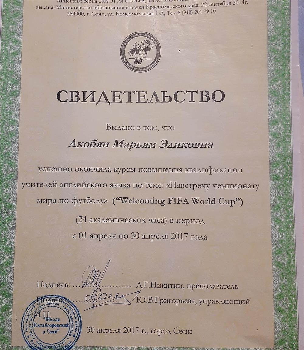 Свидетельство Fifa World Cup