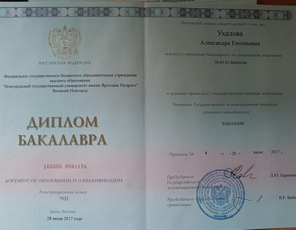 Диплом об образовании