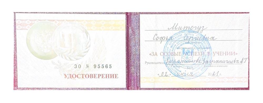 Золотая медаль за особые успехи в учении