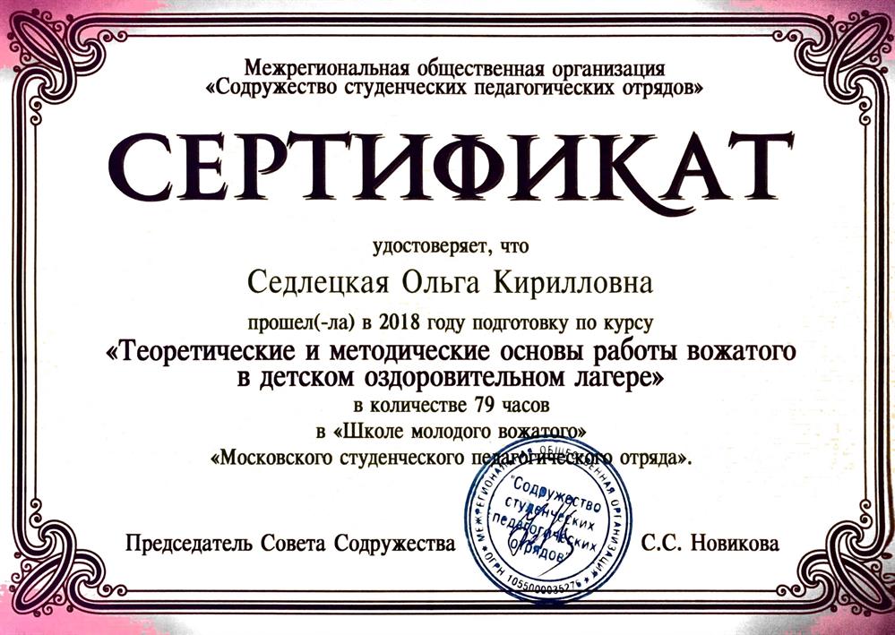 Сертификат «Теоретические и методические основы работы вожатого в детском оздоровительном лагере»