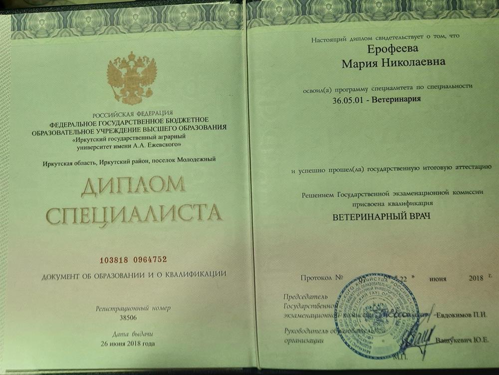 Диплом специалиста 