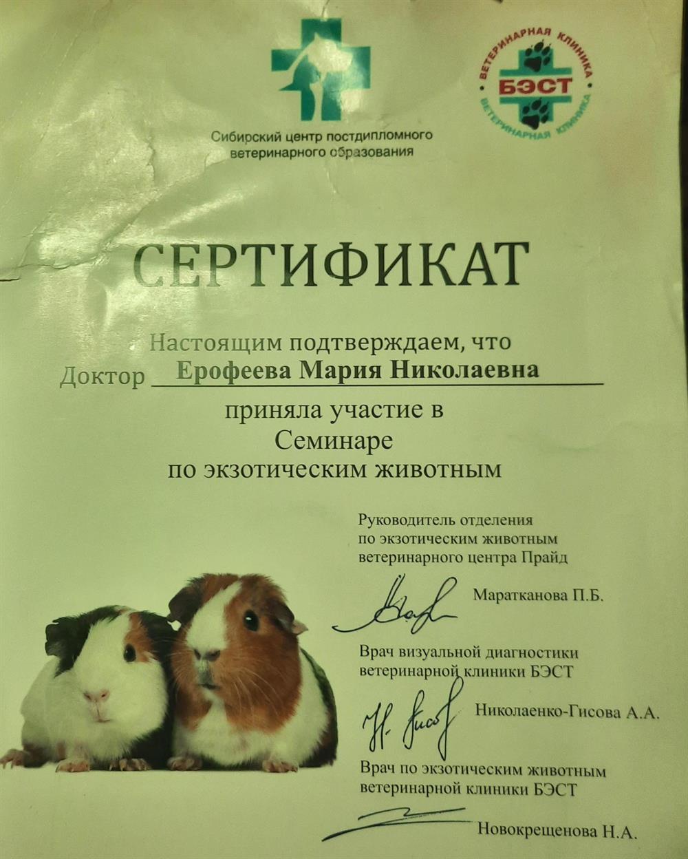 Повышение квалификации на конференциях