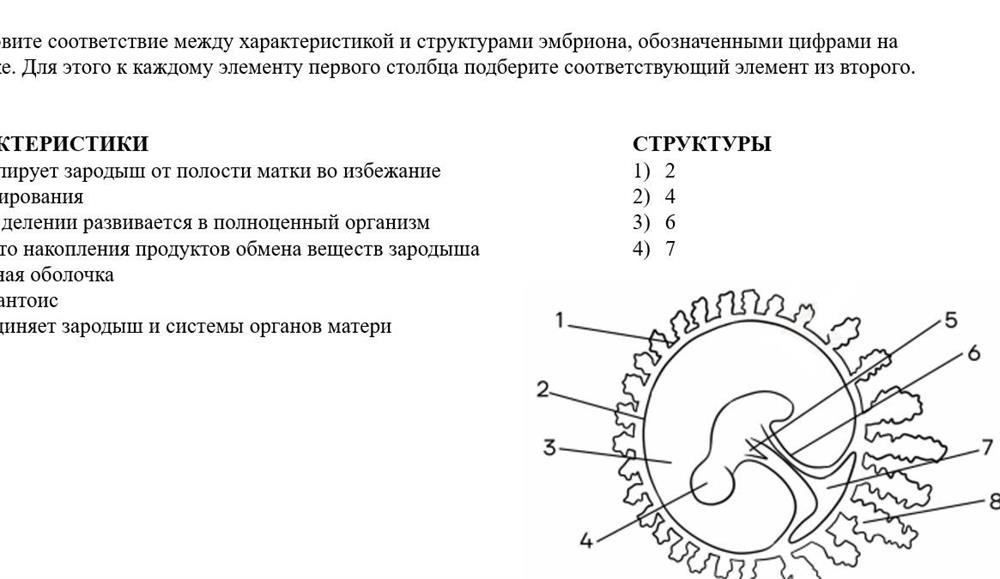 Пример из домашнего задания