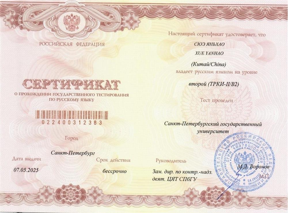 Уровень русского языка