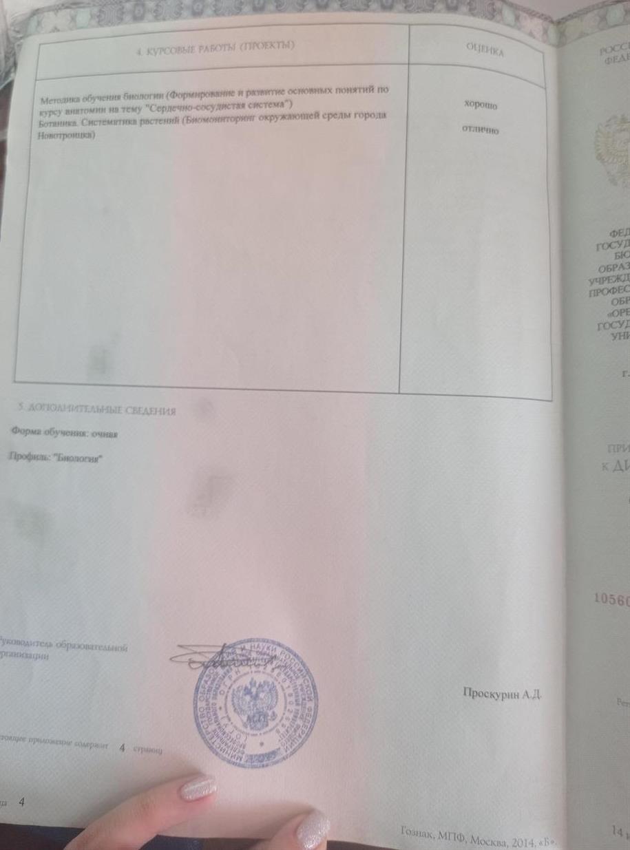 Диплом (курсовые)