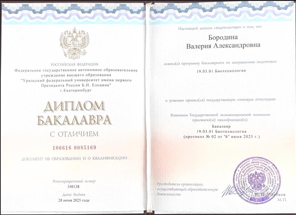 Диплом с отличием о высшем образовании 