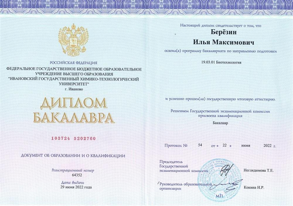 Диплом бакалавриата 