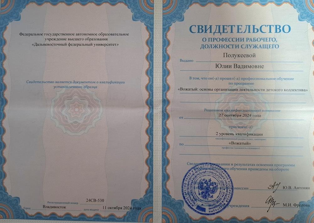 Свидетельство получения профессии по организации детского коллектива