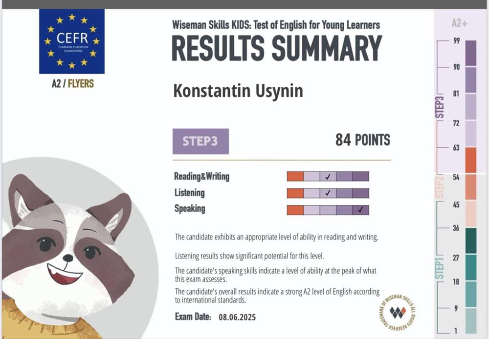 Результаты ученика. Международный экзамен Wiseman Skills Exam