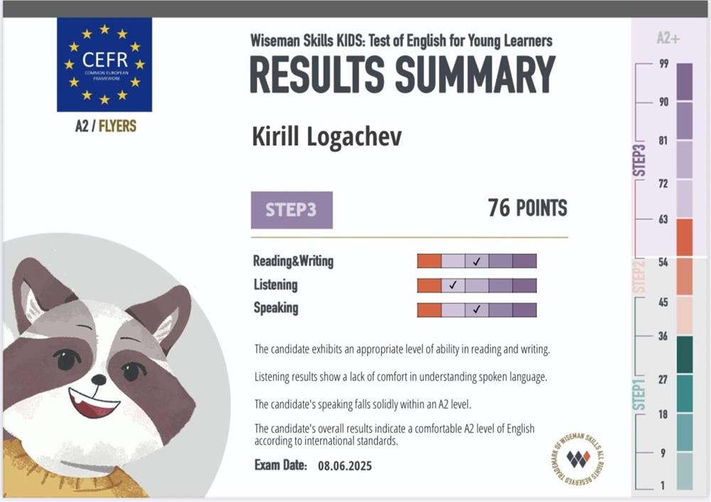 Результаты ученика. Международный экзамен Wiseman Skills Exam