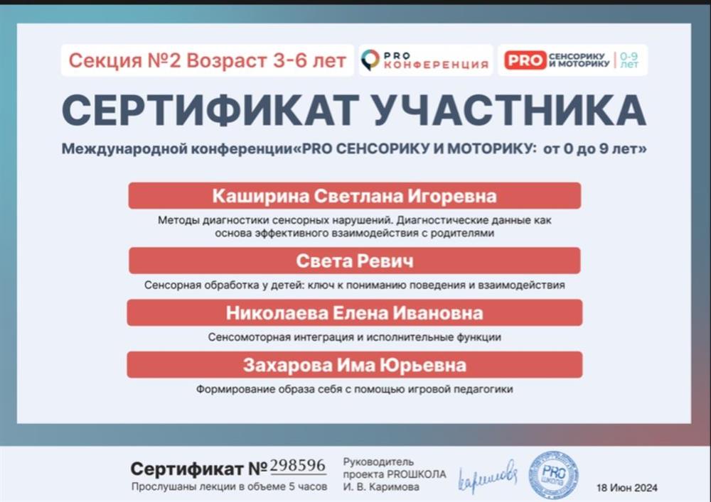 Сертификат участника конференции