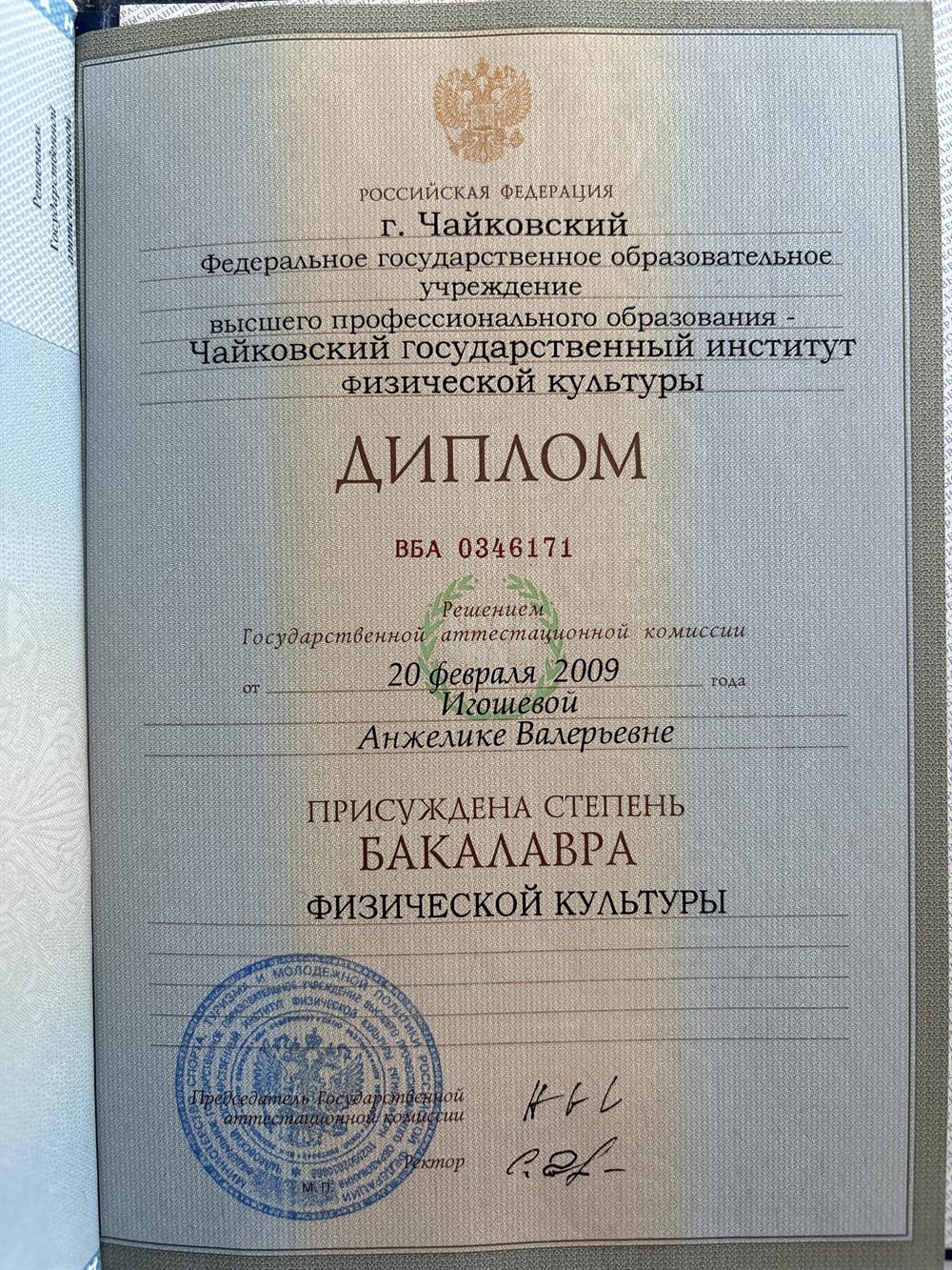 Диплом ЧГИФК