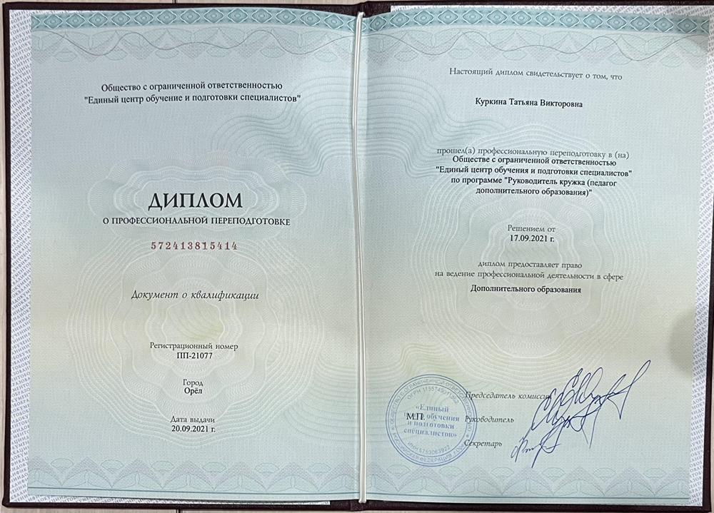 Диплом о профессиональной переподготовке, предоставляющий право на ведение профессиональной деятельности в сфере дополнительного образования 