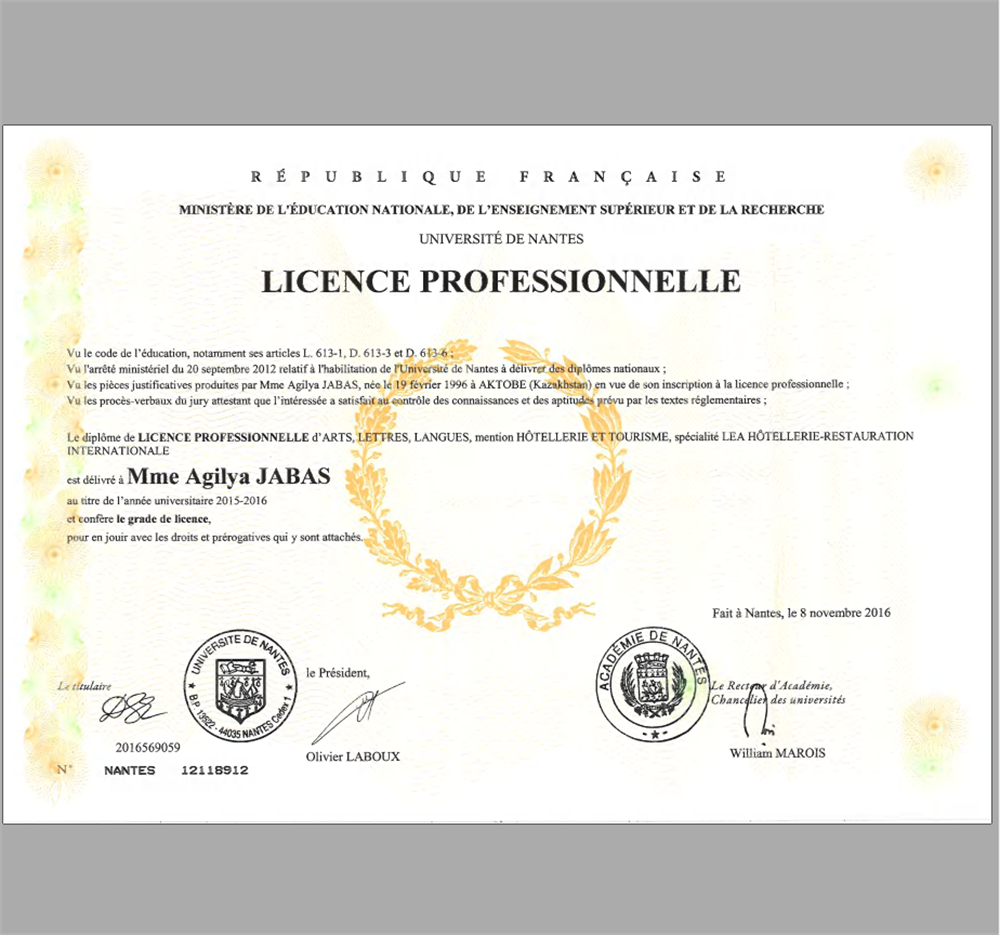 Диплом Licence Professionnelle