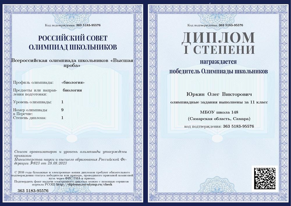 Победитель Высшей пробы, диплом 