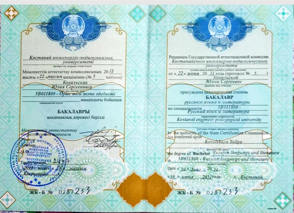 Диплом: учитель русского языка и литературы 