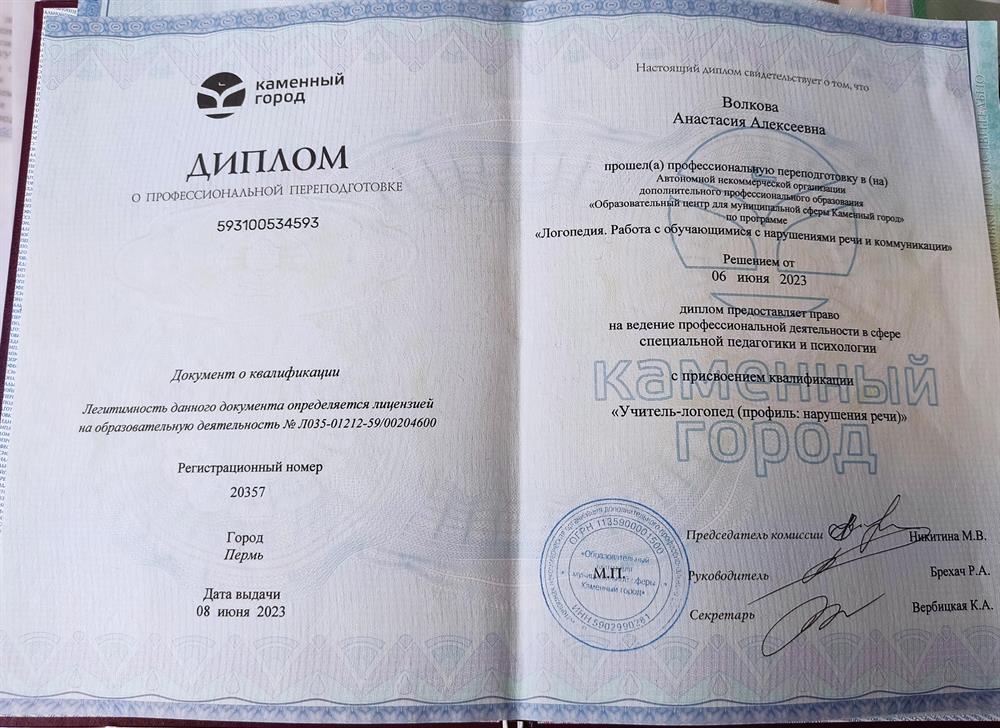 Диплом Каменный город