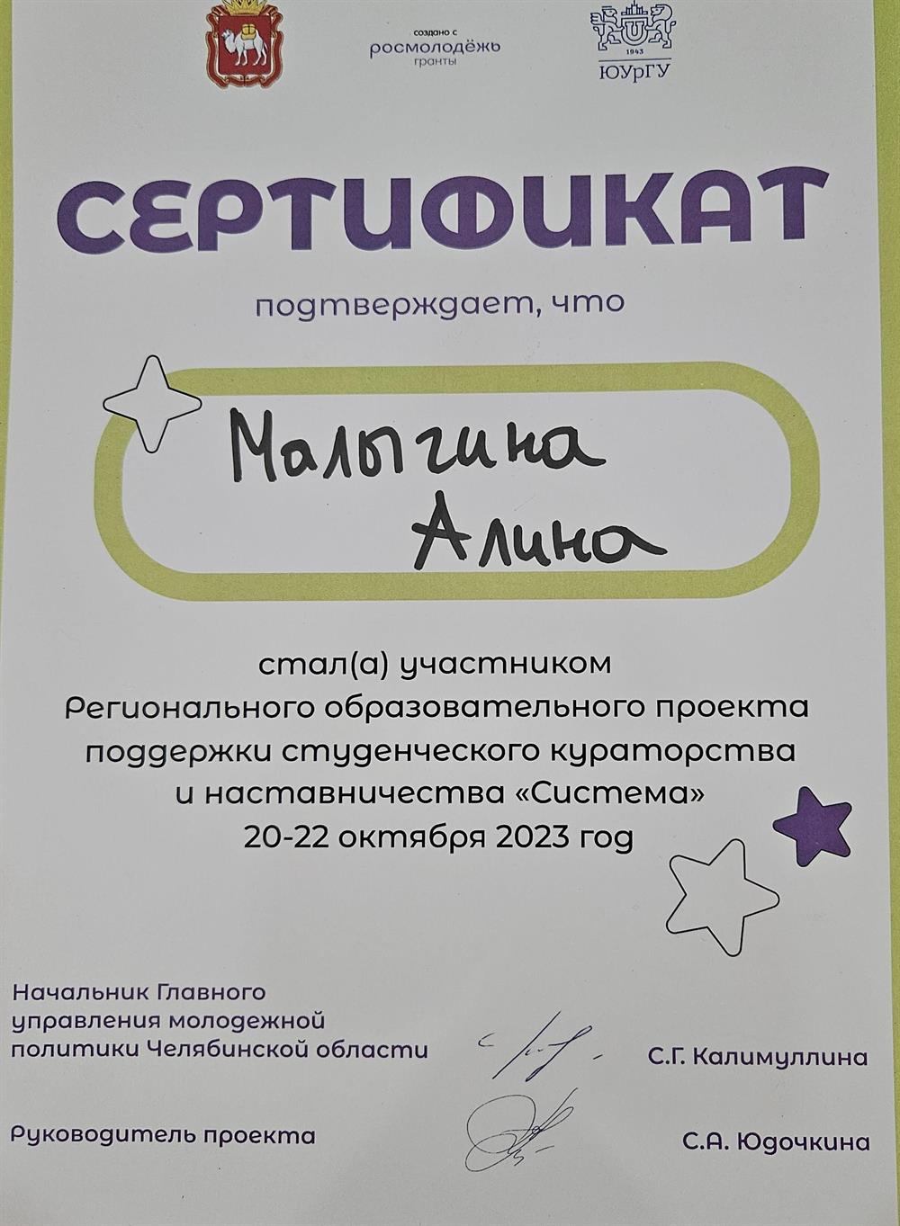 Сертификат "Система"