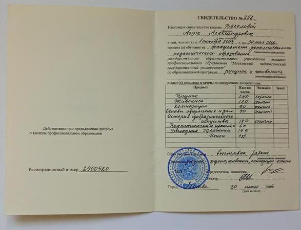 Свидетельство дополнительного образования
