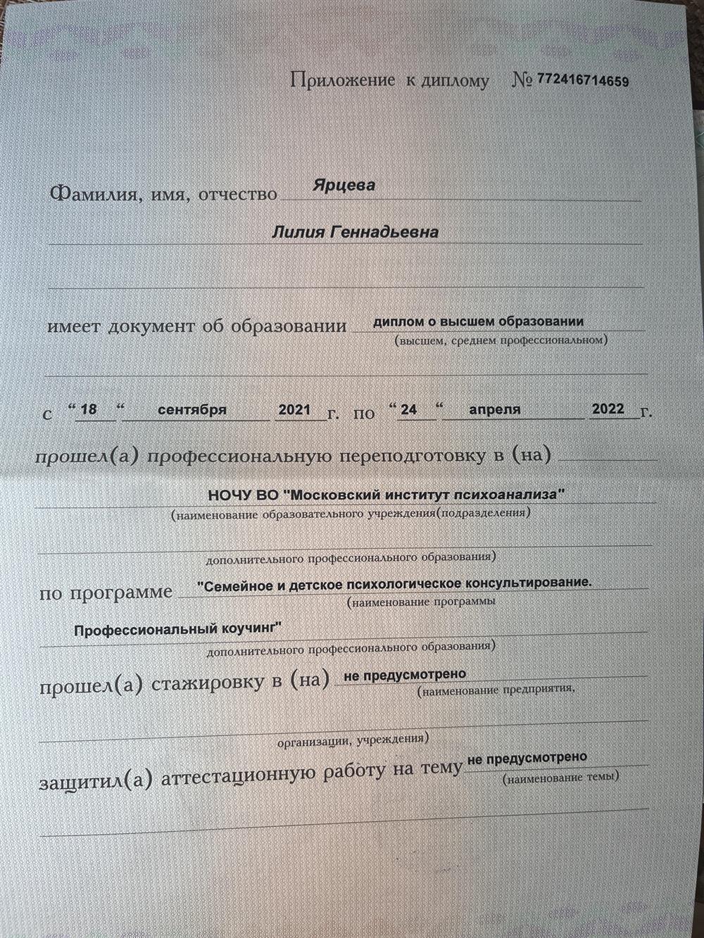 Приложение к диплому МИП