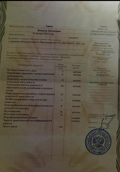 Приложение к Свидетельству. Вожатый      