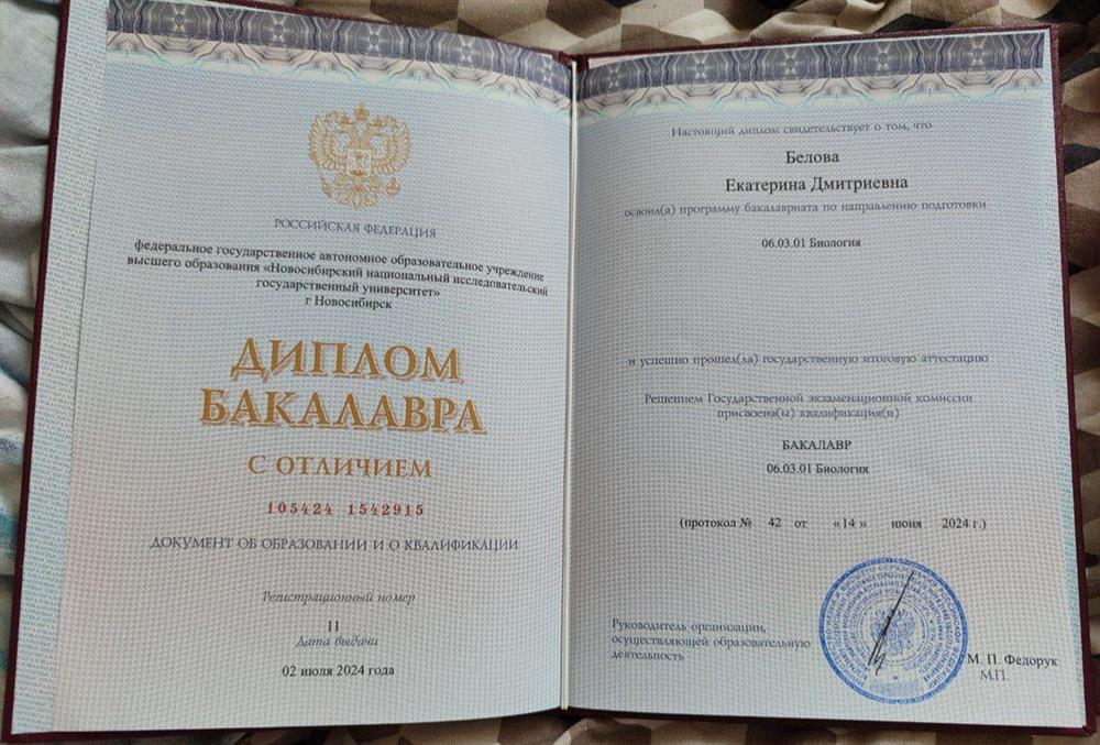 диплом бакалавра