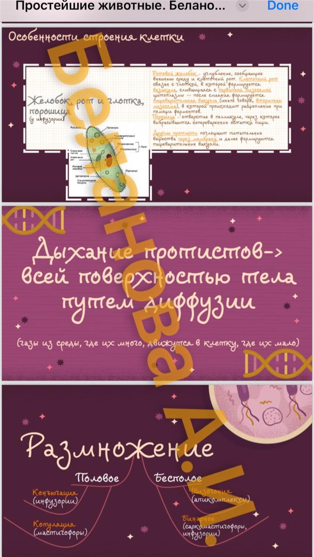 Презентации