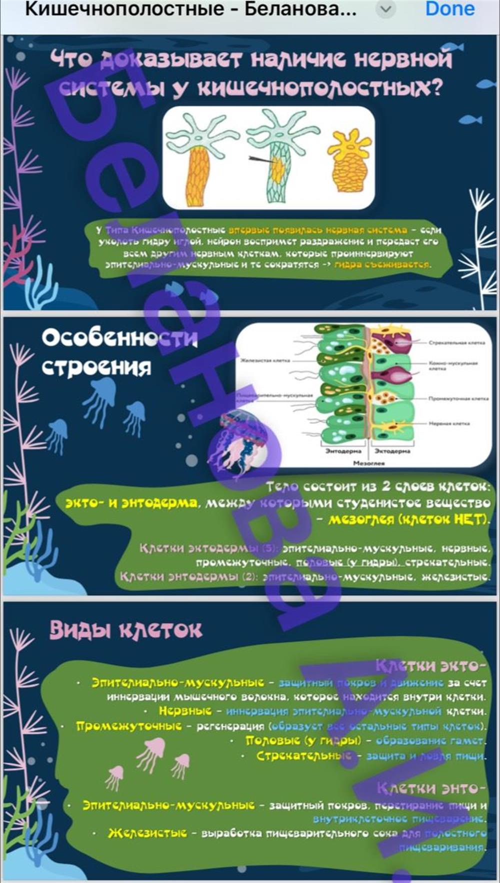 Презентации