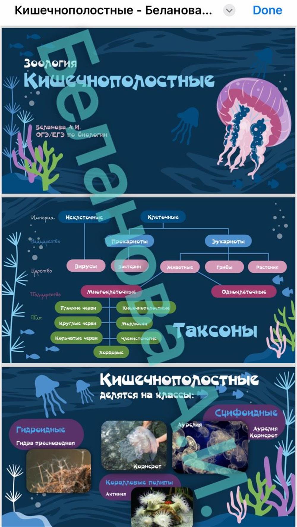 Презентации