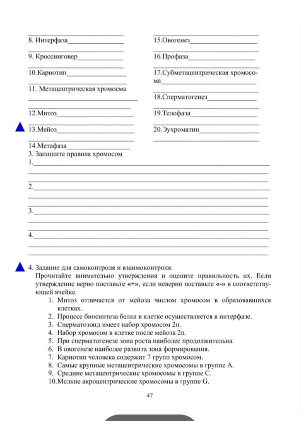 Пример рабочего листа по основам цитологии