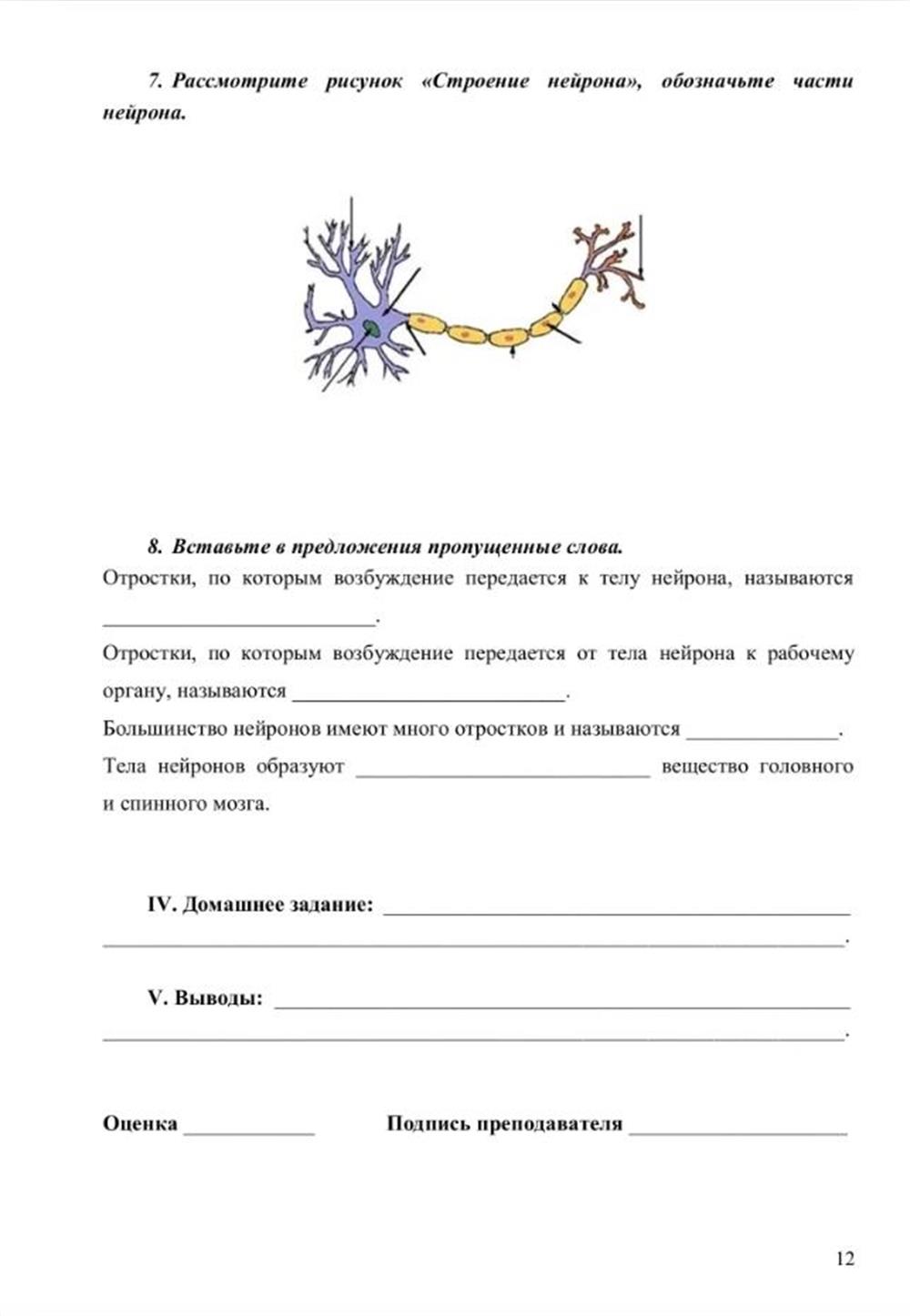 Пример рабочего листа по анатомии