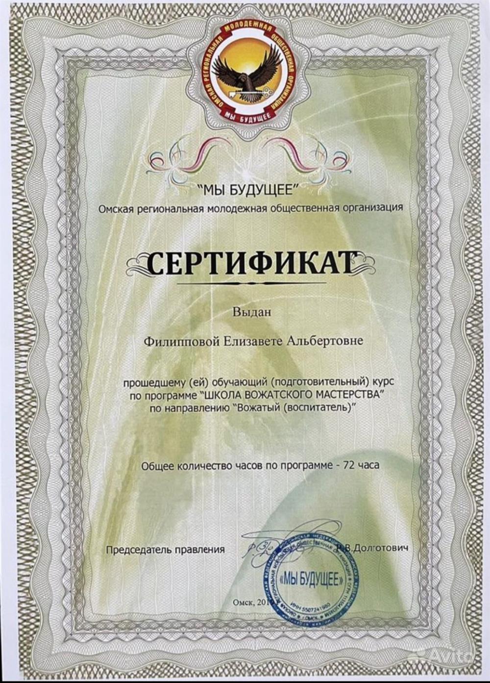 Сертификат о прохожденит обучения на воспитателя вожатого 

