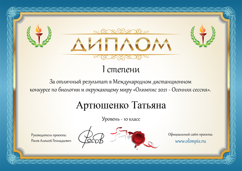 Диплом победителя 
