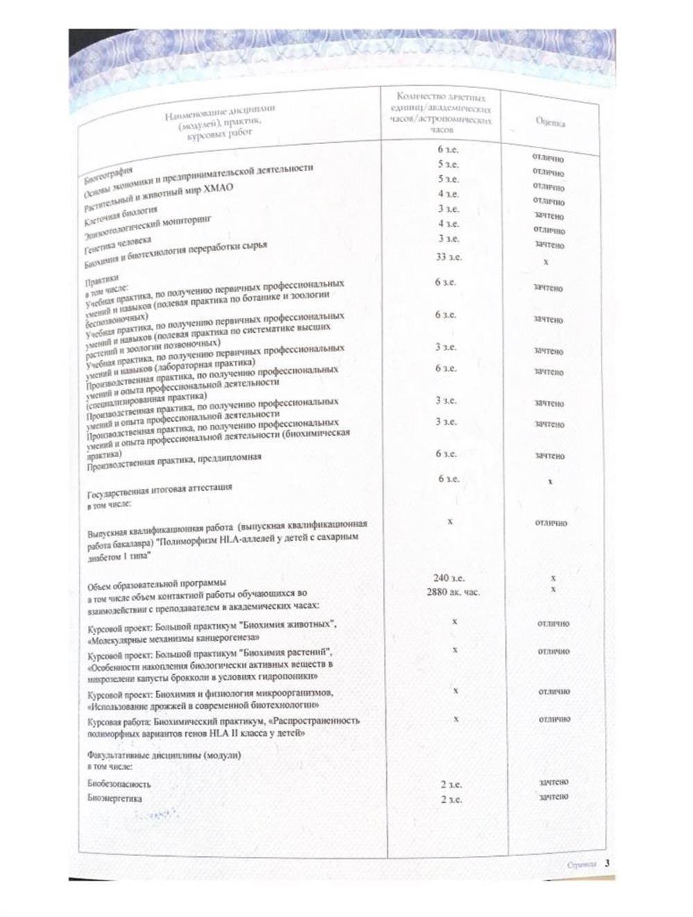 Диплом приложение 3 стр