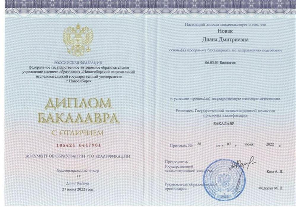Бакалаврский диплом