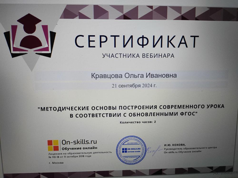 Сертификат "Методические основы построения современного урока..."
