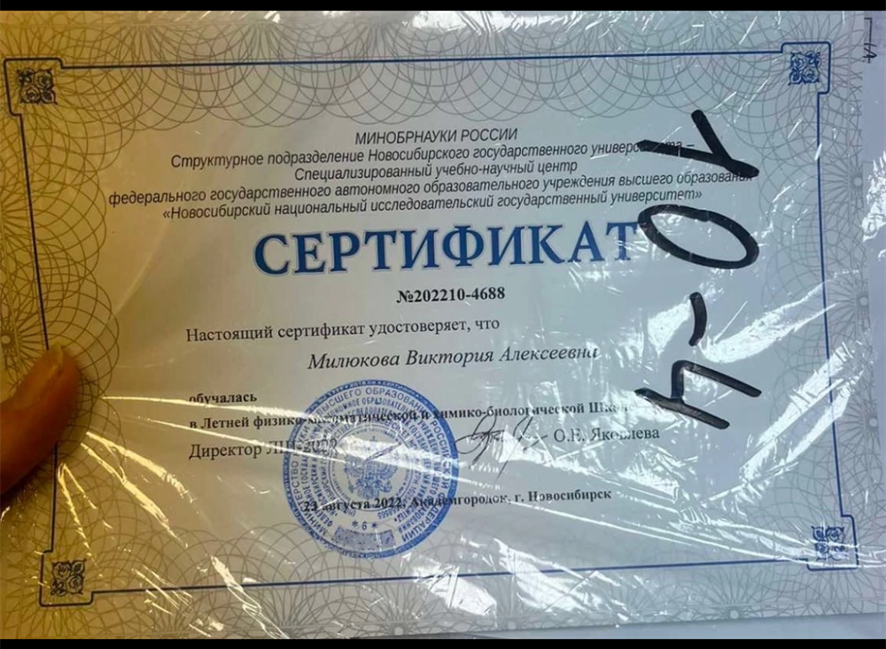 Сертификат