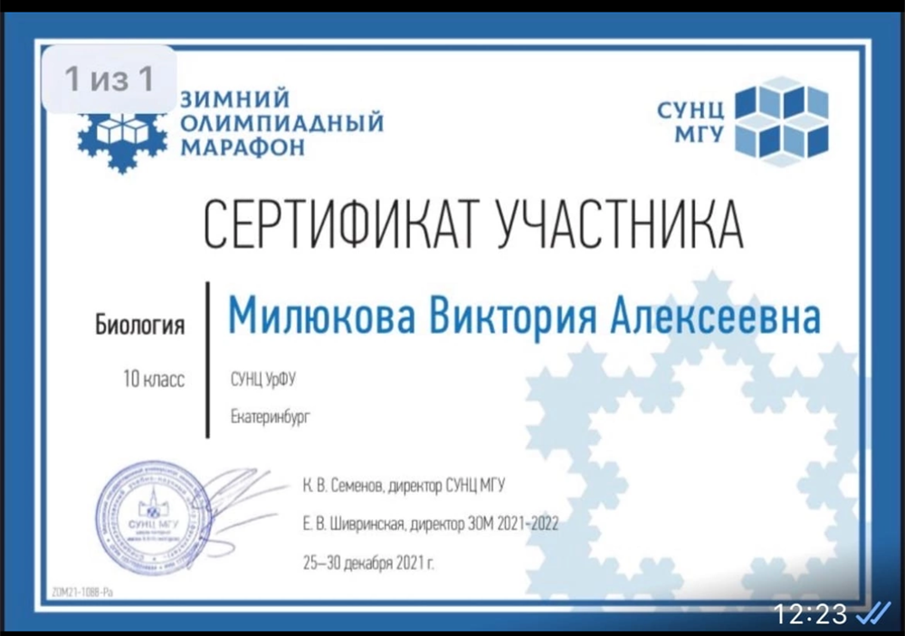 Сертификат