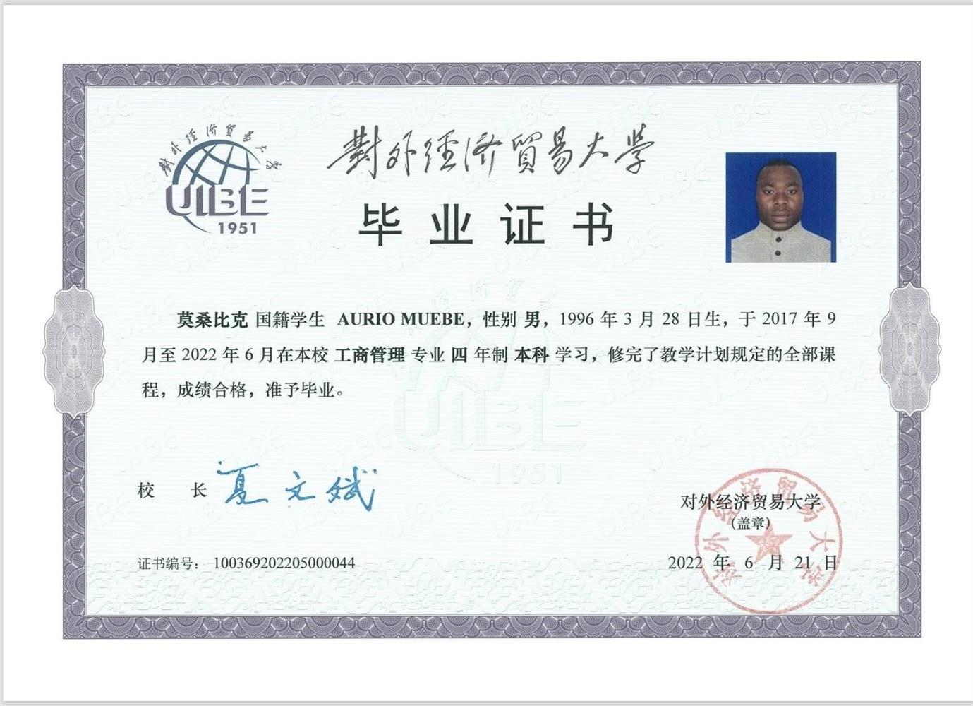 University Degree 