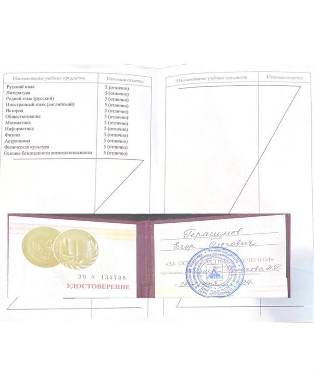 Аттестат, золотая медаль
