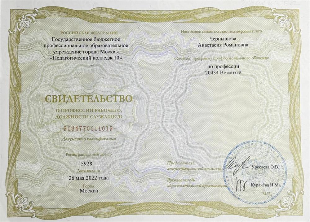 Свидетельство о должности служащего «Вожатый»