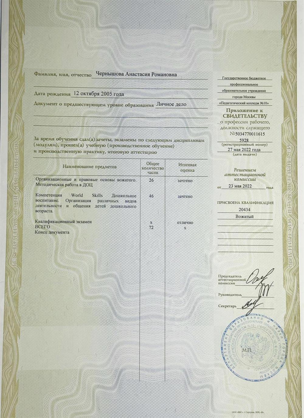Приложение к свидетельству «Вожатый»