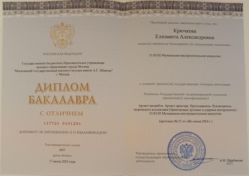 Диплом о высшем профессиональном образовании 