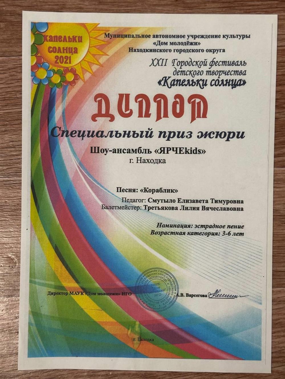 Специальный приз жюри