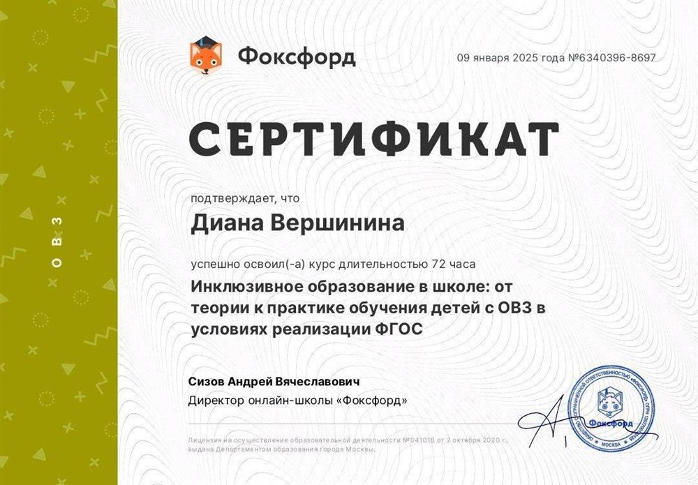 Сертификат. Инклюзивное образование в школе: от теории к практике обучения детей с ОВЗ в условиях реализации ФГОС.